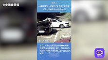 男子砸车窗盗窃，重庆大渡口公安火速擒贼