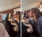 加拿大女子分享亲吻男友宠物狗的爆笑时刻 狗狗全身写满抗拒