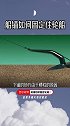 海底的泥沙那么松软 小小的船锚是如何固定住轮船的涨知识 科普 上西瓜看知识 西瓜视频
