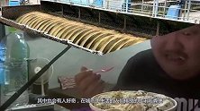 城市里上千吨的粪便，最后都流去哪里了？看完解开多年疑惑