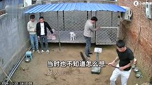 两只杜高犬突然打斗，仨大男人被吓到纷纷钻笼子，狗主人：本能反应