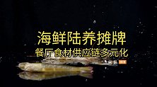 日本核污水排海，海鲜挪到内陆养？预估市场规模超八千亿元！