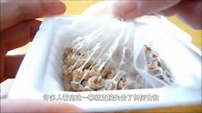 日本人有多爱吃黏糊糊的纳豆？直接当菜拌饭吃，看着就没食欲