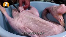 老刘最近想吃鹅肉，花300元买15斤大鹅，3种吃法一次吃过瘾