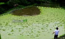 彭昱畅犁地摔了一跤屁股好凉啊!张子枫被逗笑了!