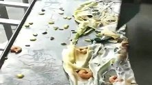 广东汕头，见过这种肠粉吗，15块钱一份贵吗