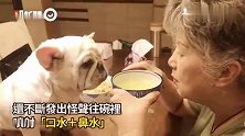 鸡汤太香！汪加料口水瀑布霸占，阿嬷无奈让出～网笑：这哪招XD