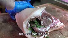 主人把野猪和家猪关一起，下一秒意外发生了！镜头拍下全过程