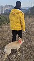带狗子上山转转，还怕它跑了，只能把它主人拴上要挟它了！