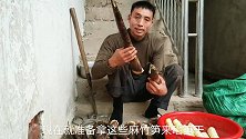 这种竹笋晒笋干才好吃，大叔教你怎样晒笋干，晒好拿它炖肉很美味