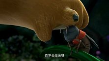 熊熊们发现不会发光的萤火虫，大家决定一起帮助他！
