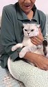 猫都是尊老爱幼，中间的随便揍