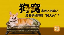 动辄卖到几千块！奢侈品进军宠物用品，养宠人都是冤大头？
