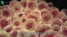 想要远离恶性肿瘤，这“4”种食物要撤下餐桌，很多餐桌都有