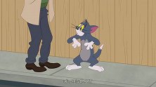 猫和老鼠：汤姆刚翻墙出来，就又被路人扔了回去！