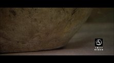 20170630-西汉不腐女尸之谜 -看鉴大揭秘56