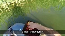渔网意外捕获超级大鱼，十几个人拼命往船上拉，场面热血沸腾！