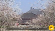 江苏“最尴尬”的城市，曾与苏州、杭州齐名，如今沦为三线城市