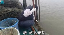 阿渔妹抓到8笼海鲜，渔妈怕卖不完，没想到发个朋友圈马上被抢空