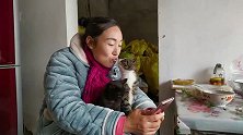 带着猫咪一起看视频，狸花猫自带卖萌属性，萌坏人不偿命吗