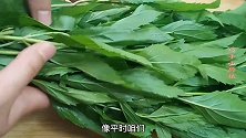小暑后，碰到这种野菜要多吃，清淡好吃又营养，在农村到处都是