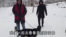大雪后，老舅带外甥和旺财赏雪景，老舅童心未泯玩的真开心