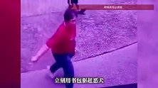 柳州一男孩被黑狗追赶，老奶奶拎着书包边赶狗边护着娃，物业：狗主人身份仍在核查