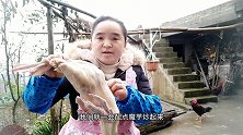 苗大姐来只童子鸭，一瓶啤酒二斤魔芋，家人吃得可香