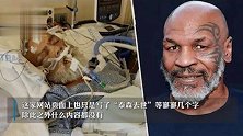 拳王迈克·泰森去世？经纪人-他没死