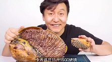 1500元买了个巨型海螺，简单烹饪一下，口感爆炸