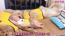 爆笑：爬山虎爬山虎，你倒是爬一个我看看啊