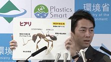 东京出现剧毒红火蚁 路上看见千万别摸