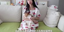 10个养猫小技巧，暴增你的幸福感，快乐吸猫每一天！