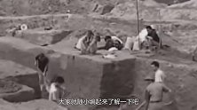 河南出土3000年前墓葬，墓主身份让专家惊讶：她是中华拯救者