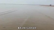 大海退潮后，二强在沙滩上捡到被泥螺卵困住的小鱼，太贪吃了