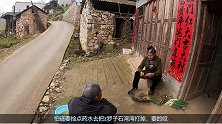棕包米炒鸡蛋，何首乌凉拌，农村老爹的生活是这么的惬意