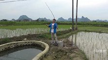 面积不到两米深潭野钓，小伙用自制小竹竿，真想不到也能疯狂上鱼