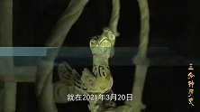 三星堆中是否真隐藏着人类文明的终极秘密？专家：已超出人类认知