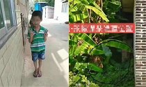 广西玉林11岁男孩突然走失 家属6天后在村后隐蔽处发现遗体