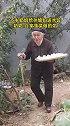 日照95岁奶奶拄拐棍给孙媳妇送水饺：自家菠菜做的馅暖心 奶奶的爱