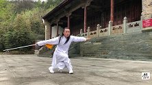 武当玄门剑，一击之间如青龙出海，真是人剑合一，剑法中的佼佼者