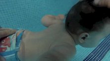 穿着尿布的宝宝被投入水中，不停地浮浮沉沉，把我看愣了