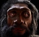 600万年人类从猿人的演变历程