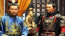 岳飞死后，他的后人写了一本书，可谓一石三鸟之计，却至今是谜