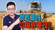俄罗斯逆袭！油气贸易增长的同时，中国成俄罗斯农产品最大买家
