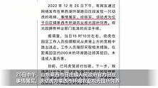 山东莱西一观光园幼虎出逃！官方回应：已将其捉回，对虎笼加密