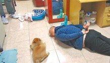 中国台湾：警方抓捕毒贩大喊趴下 “狗儿子”闻声一秒“投降”