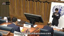 美海军陆战队驻我国保护使馆？那中国驻外领馆能不能驻军？