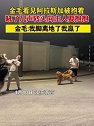 江苏南京：金毛看见阿拉斯加被抱着，吼了几声转头向主人要抱抱