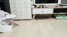 小宝宝：“一张椅子就能把我困在原地？大人们好天真！”